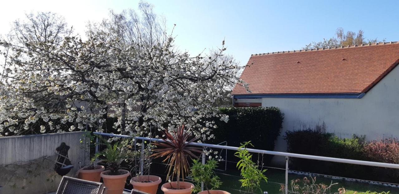 Chambre D'Hote - La Ruche Des Bleuets Mulsanne ภายนอก รูปภาพ